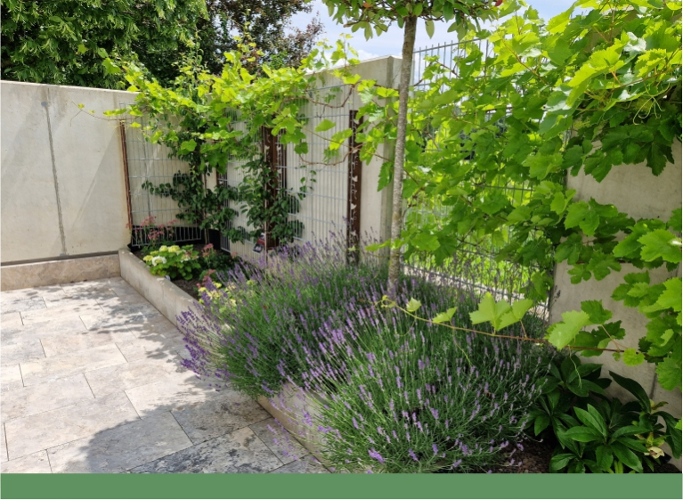 Rankhilfen, Begrenzungen, Einfassungen