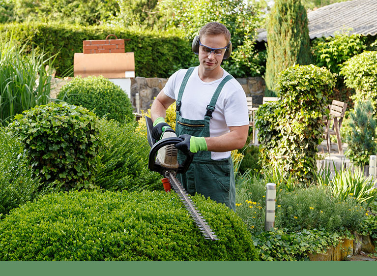 Zuschnitt von Gewächsen